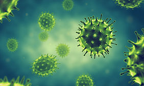 Zellen eines  Grippevirus (Coronavirus).