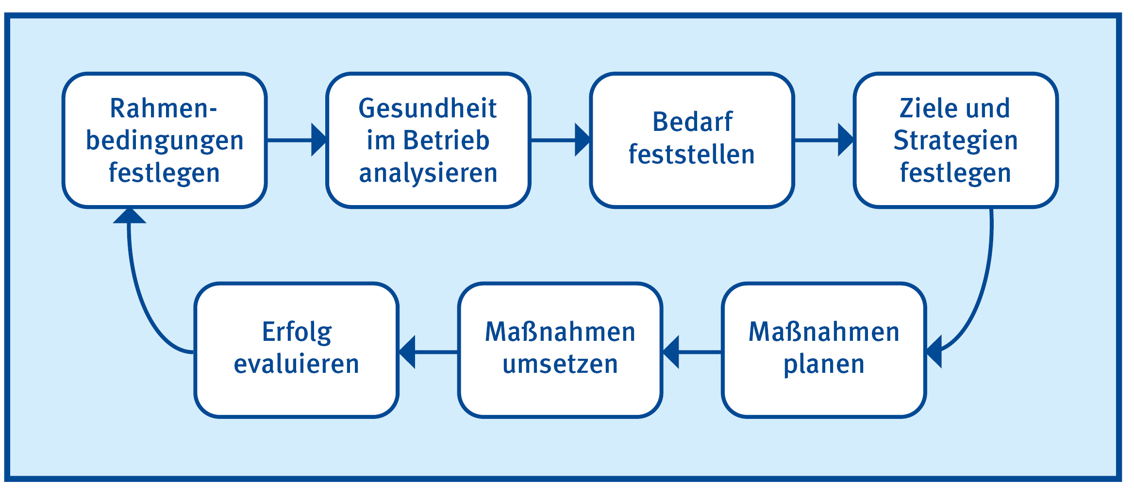 Grafik zeigt den Ablauf als Kreislauf des Betrieblichen Gesundheitsmanagement (BGM).