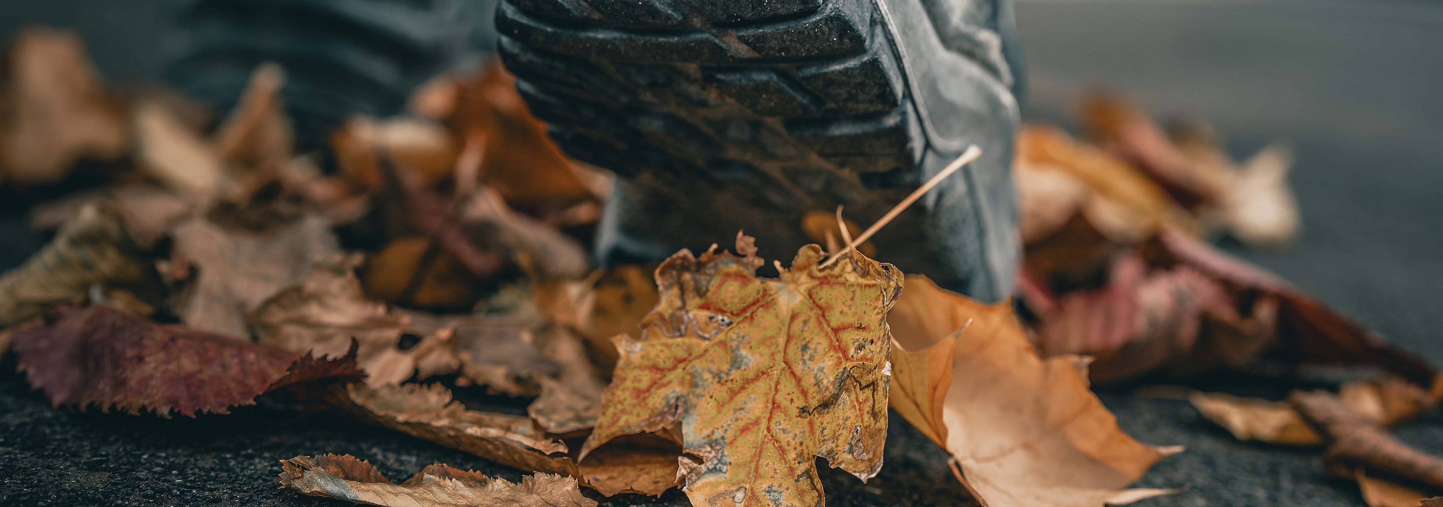 Ein Mensch läuft mit Arbeitsschuhen über Herbstblätter.