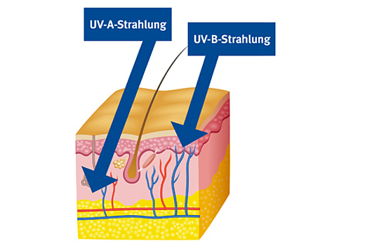 Grafik zu Risiken der UV-Strahlung