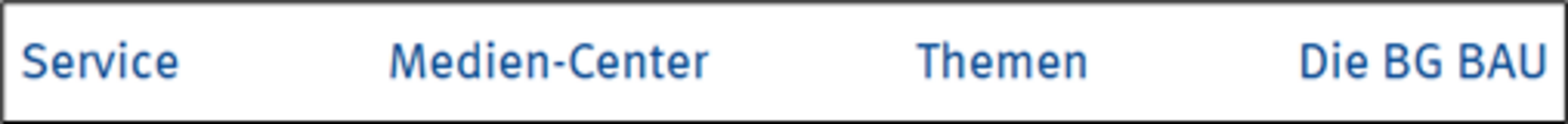 Hauptbereiche von rechts nach links: Service, Medien-Center, Themen, Die BG BAU