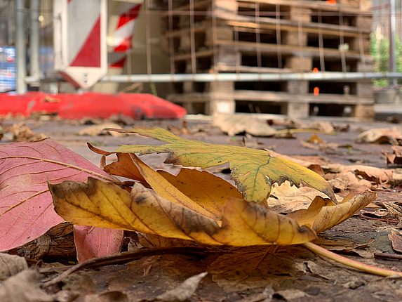 Vor einer Baustelle liegt Herbstlaub auf dem Boden.