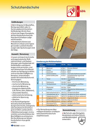 Titelbild Baustein E 604 Schutzhandschuhe